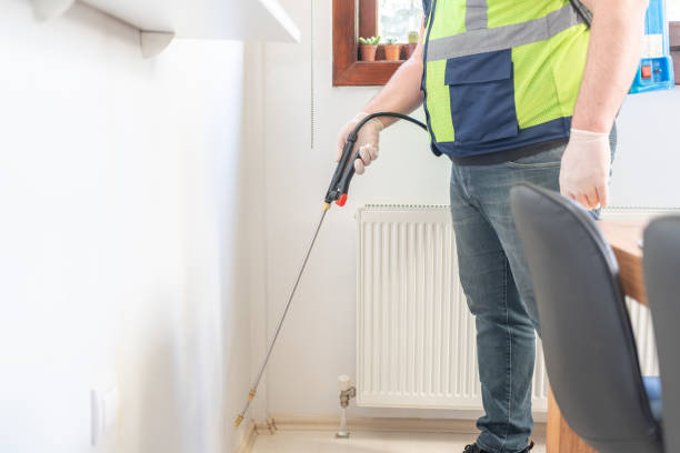 Best Ant Control Services  in Bee Ridge, FL