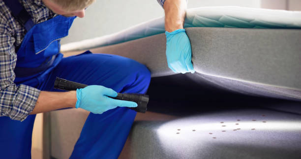 Best Rat Extermination Near Me  in Bee Ridge, FL