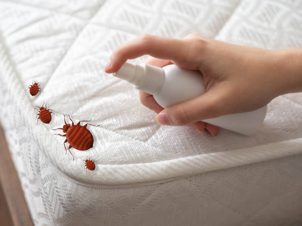 Best Mosquito Control Services  in Bee Ridge, FL