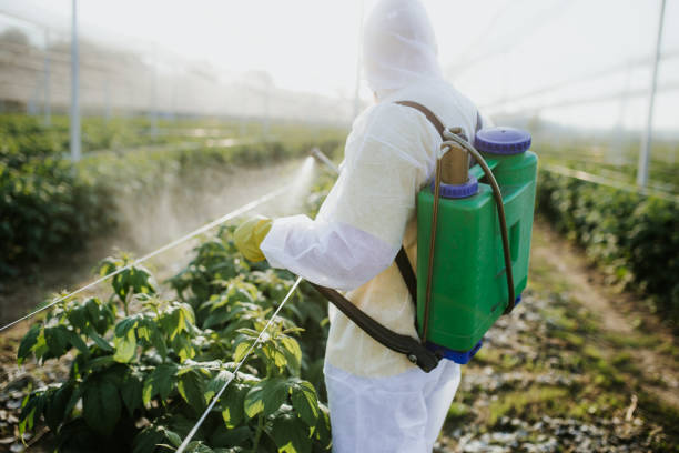 Best Pest Removal Services  in Bee Ridge, FL